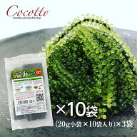 海ぶどう業務用（20g×10袋）10パック ベトナム産 お取り寄せグルメ 海鮮 長期保存可能 飲食店 塩造り 無…