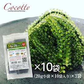 海ぶどう業務用（20g×10袋）10パック ベトナム産 お取り寄せグルメ 海鮮 長期保存可能 飲食店 塩造り 無農薬 沖縄料理 低カロリー 食材【楽ギフ_包装】【楽ギフ_のし】【冷蔵】