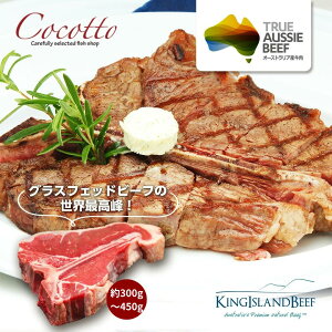 ^X}jAY LOAChr[t T{[Xe[L 300`400g I[W[r[t q OXtFbhr[t ؂ S S Mtg Mtg v[g j  a ӎ җ