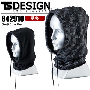 t[hEH[}[ TSfUC 842910 H~ {A h ~p ƕ ƒ a