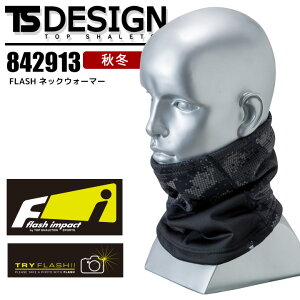 lbNEH[}[ TSfUC 842913 FLASH H~ {A  h ~p ƕ ƒ a