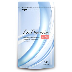 vGAZxzIq̓TvE hN^[vGAfor PRO i Tvg 240 (1)@uCV}