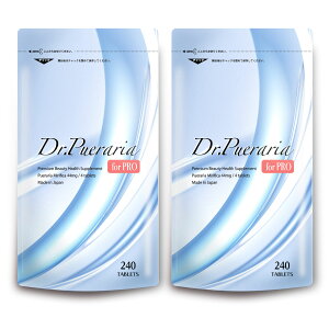 vGAZxzIq̓TvE hN^[vGAfor PRO i Tvg 240 (1)@uCV}