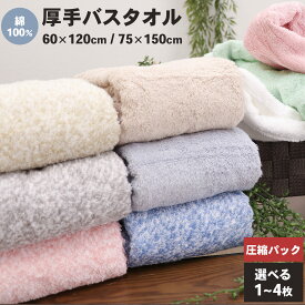 ポイント2倍！【50％オフクーポン】 バスタオル セット 綿100％ 大判 厚手 大きめ 無地 夏 タオル タオルケット ギフト まとめ買い ホテル 吸水 速乾 通気性 業務用 送料無料