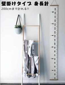 gv Ǌ|^Cv g L^ kLbYW[ ړ\ Ԃ񂩂l܂ 5cm200cm܂ ڐt w̍  Vv  킢 CeA G Ǐ