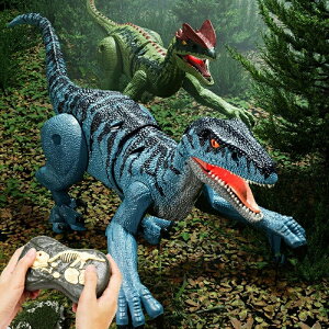 {bg | RC R - [dobe[tR 3`5΂̒j̎qAav[gƂ