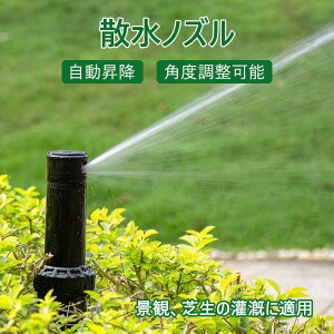 ̟ ]Xv[mY 17mmUmY ~ px\ iρAŐ̟ɓKp  Up Ԓd Ő K[f Up Ԓd Ő K[f