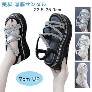  fB[X T}[T_ 7cmX|[cT_ rW[ Xgbv EFbW ČC EH[LOV[Y ^C ϋv h ϖՐ y GKg Ȃ X|[eB Rt