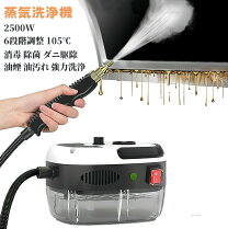 楽天市場】スチームクリーナー ハンディの通販