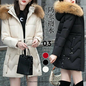 _ER[g R[g fB[X ~ _EWPbg V[gR[g t[ht t@[t |Pbgt t@[O\ AE^[ Wp[ 傫TCY OJ hXg ~h