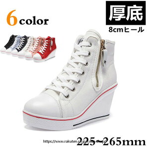 EFbWq[Xj[J[ fB[X V[Y  Bq[ V[Y C\[ V[Y EFbWq[ Xj[J[ fB[XXj[J[  Xj[J[ C