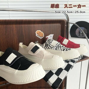 Xj[J[ fB[X EH[LOV[Y jZbNX [Jbg  Xj[J[ fB[X l p C t  H ʋΒʊw C y b L Ռz Xb| ɂ 