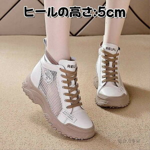 Xj[J[ bV V[gu[c V[X[  ʋC T}[u[c u[cT_ fB[X [XAbv ҂ݏグ EhgD tbgT_ ANu[c ^C 