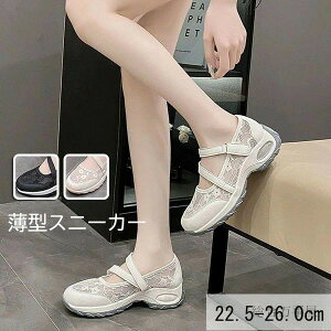  Xj[J[ Xj[J[ Xj[J[T_ fB[Xy22.5-26.0cmz[X ʋC ʋ bV}C }}t@bV U ig  傫TCY ubN x[W