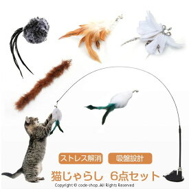 猫じゃらし 吸盤 固定 猫おもちゃ 釣り竿 6点セット 鈴付き 猫 猫用おもちゃ 羽根 ねこじゃら ネコ 猫用釣竿 交換用 羽根 ねこじゃら ネコ 一人遊び 知育玩具 しなやか ストレス解消 運動不足解消 遊び道具 ペット用品