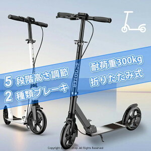 LbN{[h LbNXN[^[ lp ܂肽 u[Lt X^ht \ 8C` ω׏d300kg LbNoCN qp ܂ zC[ ^ ʋ ʊw X y v