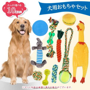 ߋ [v^Cv 10_Zbg ފߋ  ybgp v ϋv   /^ɓKp OK v Ȃ ʂ tCOfBXN no[K[ {[ 