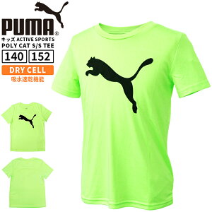 �v�[�} �L�b�Y �{�[�C�Y �K�[���Y �g�b�v�X �J�W���A�� PUMA 673210 ���� T�V���c ACTIVE SPORTS POLY CAT S/S TEE | �g���[�j���O