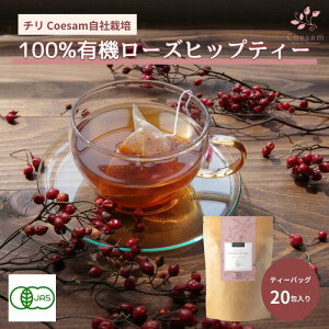 Coesam�i�R�G�T���j�@100% �L�@���[�Y�q�b�v�e�B�[�@�e�B�[�o�b�O�@4g×20��