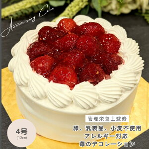  i  ibcޕsgp 4 AM[Ή  fR[V P[L 肠 Ǘh{mďC AM[Ή t@[Xgo[Xf[ aP[L 1 2 Ԃ  