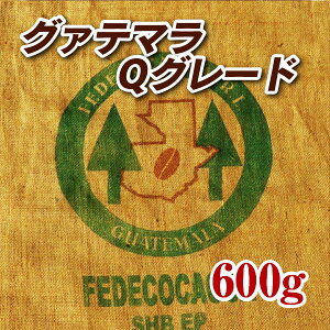 グァテマラQグレードパストレス 600g【コーヒー豆】【珈琲豆】【コーヒー】【高品質】【フルボディ】【ストレートコーヒー】【送料無料】ゆうパケット専用※日時指定できません