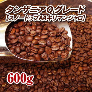 ^UjAQO[hXm[gbviL}Wj600gyR[q[zy蓤zyzyXg[gR[q[zyL}Wzyiz䂤pPbgpwł