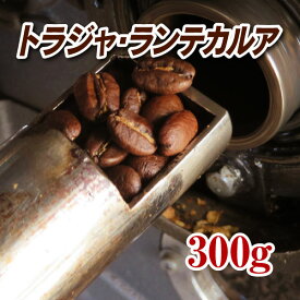 トラジャ・ランテカルア300g【コーヒー豆】【珈琲豆】【コーヒー】【インドネシア】【トラジャ】【ストレートコーヒー】【送料無料】ゆうパケット専用※日時指定できません