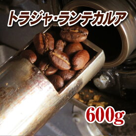 トラジャ・ランテカルア600g【コーヒー豆】【珈琲豆】【コーヒー】【インドネシア】【トラジャ】【ストレートコーヒー】【送料無料】ゆうパケット専用※日時指定できません