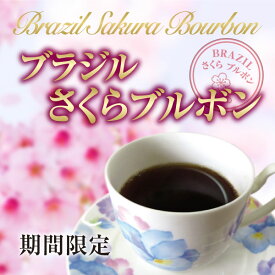 入荷！ブラジルさくらブルボン600g【コーヒー豆】期間限定希少品種サンタルジア農園【ストレートコーヒー】【送料無料】ゆうパケット専用※日時指定できません