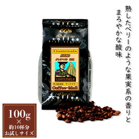 コーヒー豆 グアテマラSHB 小袋包装100gパック （1袋/5袋/20袋） コーヒー 受注後焙煎 鮮度長持ち グァテマラコーヒー ストレートコーヒー プレミアムコーヒー シーシーエスコーヒー／コーヒーメール