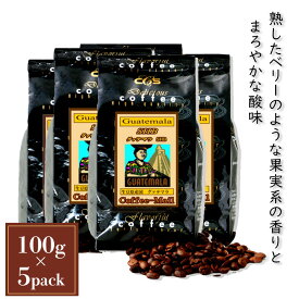 コーヒー豆 グアテマラSHB 小袋包装100gパック （1袋/5袋/20袋） コーヒー 受注後焙煎 鮮度長持ち グァテマラコーヒー ストレートコーヒー プレミアムコーヒー シーシーエスコーヒー／コーヒーメール