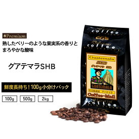 【スーパーSALEポイント10倍】 コーヒー豆 グアテマラSHB 小袋包装100gパック （1袋/5袋/20袋） コーヒー 受注後焙煎 鮮度長持ち グァテマラコーヒー ストレートコーヒー プレミアムコーヒー シーシーエスコーヒー／コーヒーメール