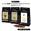 コーヒー豆 【月替わりコーヒーセット】6月の コーヒーセット イパネマ モンテアグレ モカブレンド 小袋包装100gパックx3袋 （3袋セット合計300g） 自家焙煎 鮮度長持ち コーヒー シーシーエスコーヒー／コーヒーメール