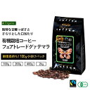 【 オーガニックコーヒー 】 フェアトレード グアテマラ 小袋包装100gパック（1袋/2袋/4袋/20袋） コーヒー豆 受注後焙煎 鮮度長持ち オーガニック 有機栽培 有機栽培珈琲 有機JAS フェアトレード認証 シーシーエスコーヒー／コーヒーメール