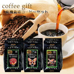 R[q[Mtg I[KjbNR[q[ JWAMtg B R[q[Zbg 3 100gʃpbN v600g Mtg R[q[ / L@͔|R[q[ L@ OAe} y[ Juh R[q[