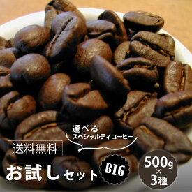【送料無料 コーヒー豆】お試しセット■BIG 1.5kg■スペシャルティー コーヒー豆 各500g×3種グランファザーズブレンド　500gコロンビア ナリーニョ マイクロロット　500g選べるコーヒー豆 　500g