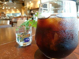 }f ACXuhZȃACXR[q[-Ice@Coffee-yC^A[Xgz