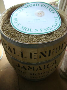 �u���[�}�E���e�� NO,1 �@-Blue Mountain NO,1 Coffee-�W���}�C�J���{����w�@���{�D�G�܁@�x���^! �u���}��