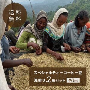 yzXyVeB[ R[q[@2Zbg@@G`IsA OW Ai\@AiGrbNi` PjA@@̃Zbg