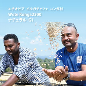 【完熟モカ】エチオピア イルガチェフェ コンガ村 Wote Konga 2300 ナチュラル G1 浅煎りコーヒー コーヒー豆
