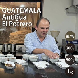 グァテマラ アンティグア エル・ポトレロ農園　GUATEMALA　Antigua El Potrero 中煎り ウォッシュトコーヒー コーヒー豆　スペシャルティコーヒー