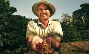 福袋【送料無料】“満足度五つ★”マイルド珈琲セットマイルド【楽】ブレンドブラジル マンチケイラ イエローブルボン 業務用、卸、レストラン、カフェ、事務所、大家族、ランチ用