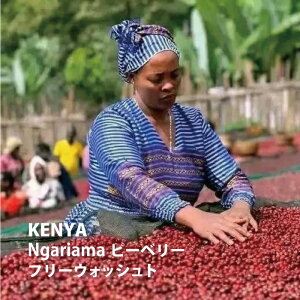 PjA Ngariamas[x[t[EHbVg