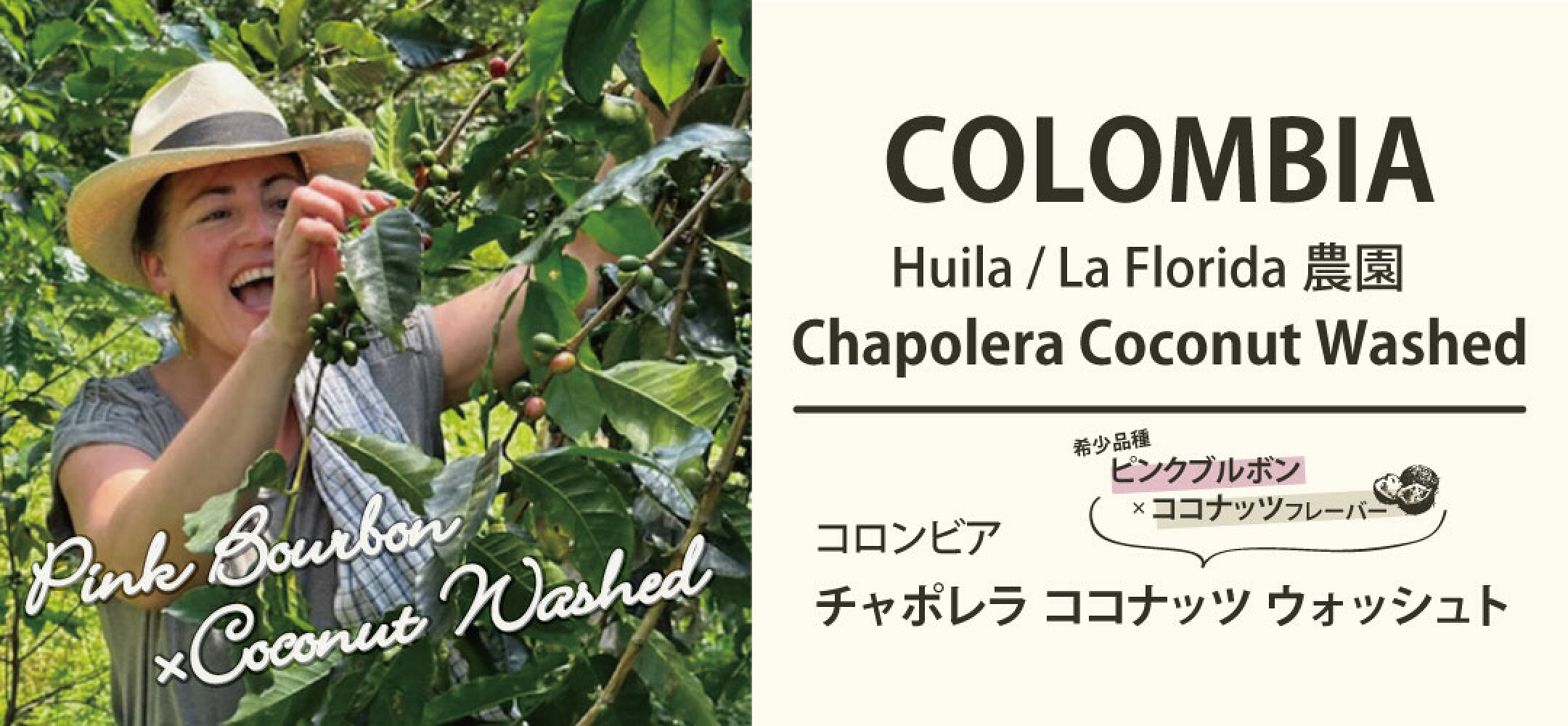 コロンビア　Huila La Florida農園 Chapolera Coconut Washed チャポレラ ココナッツ ウォッシュト ピンクブルボン種　コーヒー豆　レギュラーコーヒー