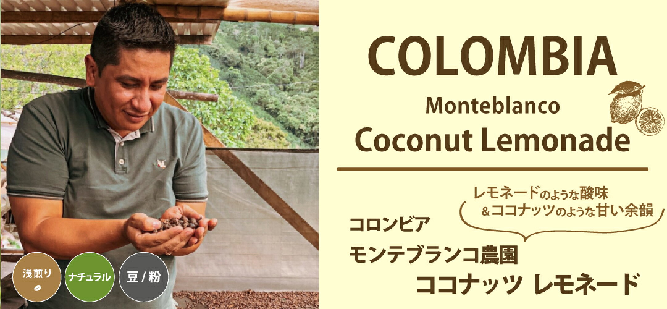 コロンビア　ウィラ　モンテブランコ農園　ココナッツレモネード　浅煎り コーヒー　レギュラーコーヒー　コーヒー豆