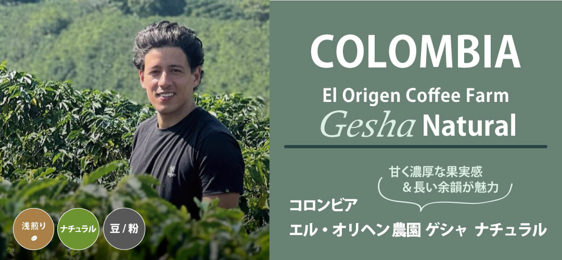 コロンビア エル・オリヘン農園　ゲシャ ナチュラル 浅煎り コーヒー コーヒー豆