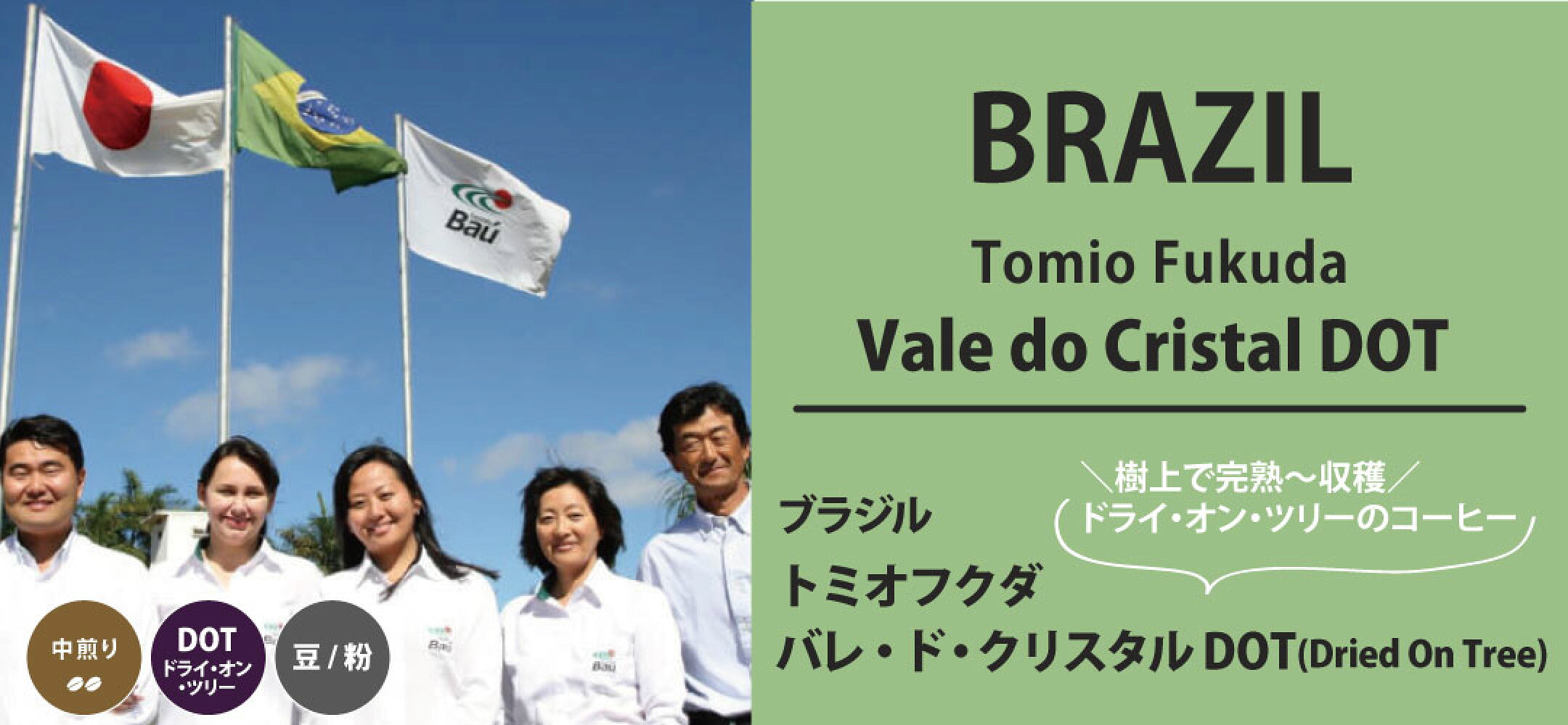 ブラジル　トミオフクダ　バレ・ド・クリスタル農園　DOT(Dried On Tree) 中煎り ドライオンツリー コーヒー コーヒー豆　スペシャルティコーヒー