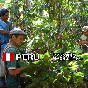 y  z R[q[ y y[ ILfA z [    M[R[q[  ~j R[q[ 蓤 t[eB R[q[ ҂ 