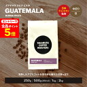 【エントリーで店内全品P5倍】● コーヒー豆 スペシャルティコーヒー 中煎り グアテマラ ブエナビスタ Guatemala Buena Vista 250g / 500g / 1kg / 2kg 豆のまま 4種から選べる コーヒー 珈琲 スペシャリティコーヒー [C] TCR