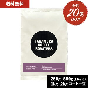 ySiK炦|Cg5{JÒ(vGg[)z(`91:59) R[q[ XyVeBR[q[ OAe} uGirX^ Guatemala Buena Vista 250g / 500g / 1kg / 2kg ̂܂ 4킩Iׂ 